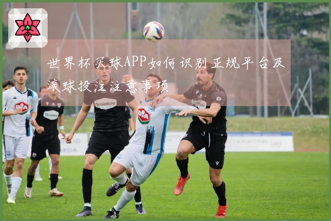 世界杯买球APP如何识别正规平台及滚球投注注意事项