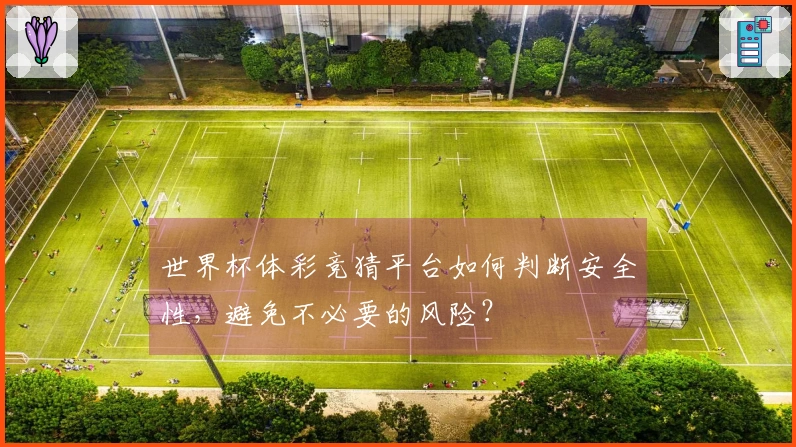 世界杯体彩竞猜平台如何判断安全性，避免不必要的风险？