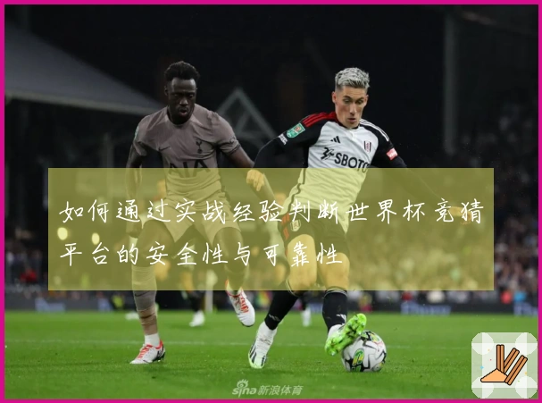 如何通过实战经验判断世界杯竞猜平台的安全性与可靠性