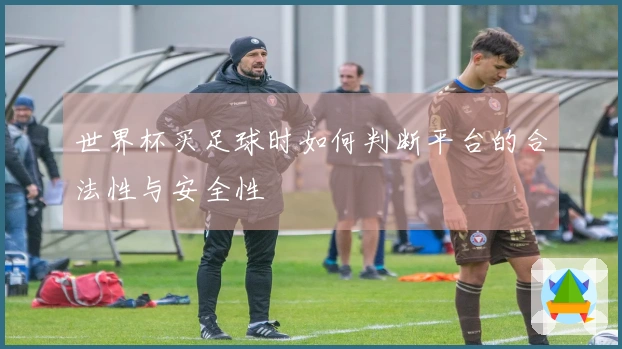 世界杯买足球时如何判断平台的合法性与安全性