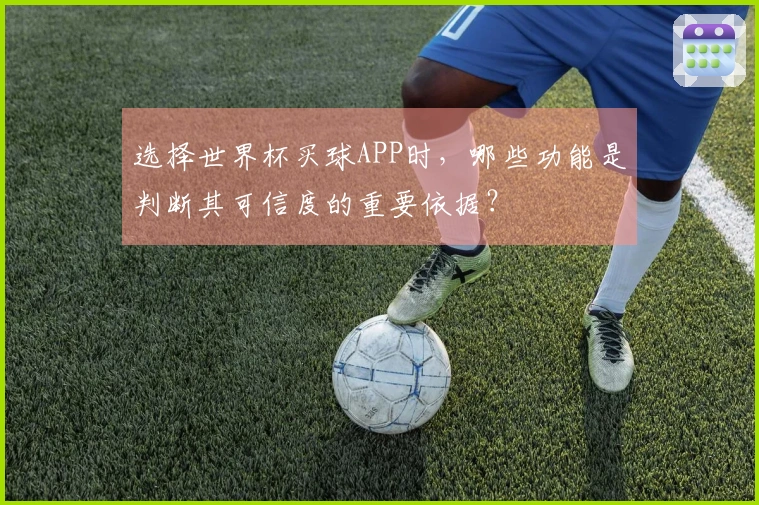 选择世界杯买球APP时，哪些功能是判断其可信度的重要依据？