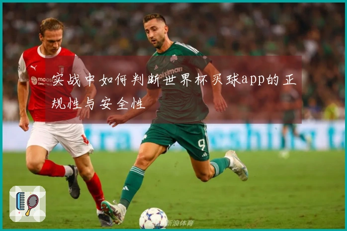 实战中如何判断世界杯买球app的正规性与安全性