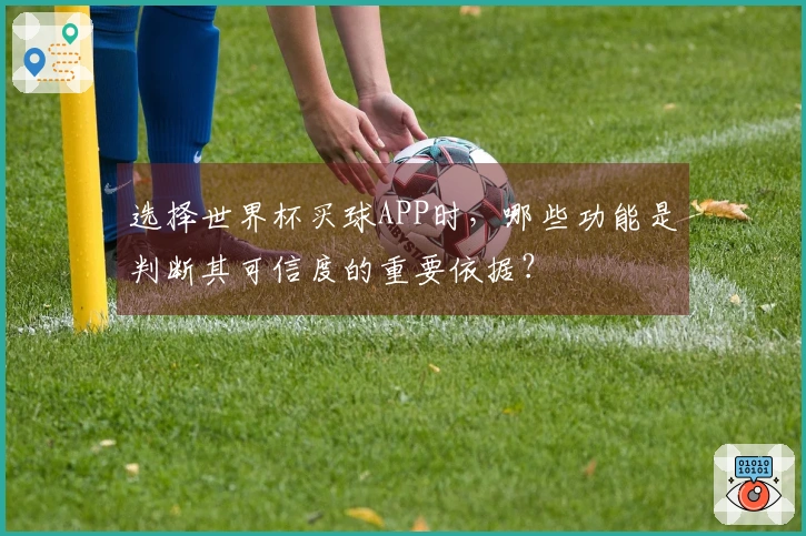 选择世界杯买球APP时，哪些功能是判断其可信度的重要依据？